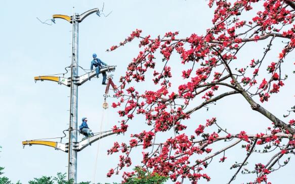 保底電網(wǎng)建設開啟“加速度”