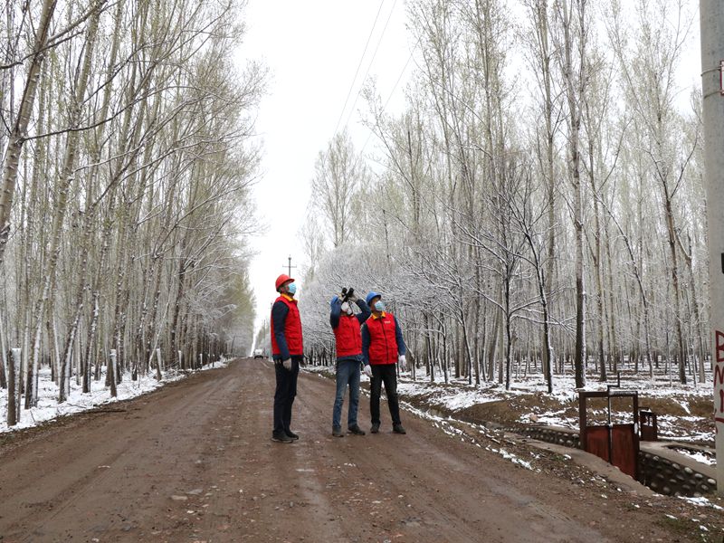 國網(wǎng)伊犁伊河供電公司四月飛雪，電力員工巡視線路保供電