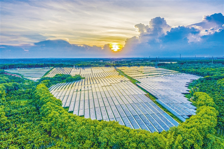 海南電網(wǎng)公司加快構(gòu)建現(xiàn)代供電服務(wù)體系，驅(qū)動(dòng)鄉(xiāng)村振興電力引擎