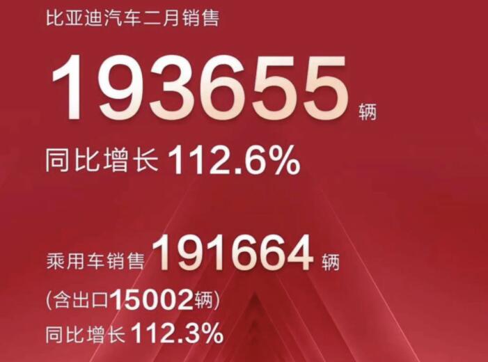 2月新能源車企成績(jī)單出爐，比亞迪一騎絕塵