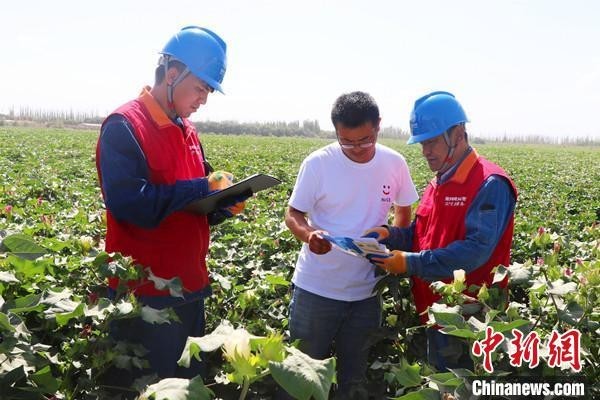 新疆啟動2023年秋糧生產(chǎn)供電服務(wù)保障專項(xiàng)行動