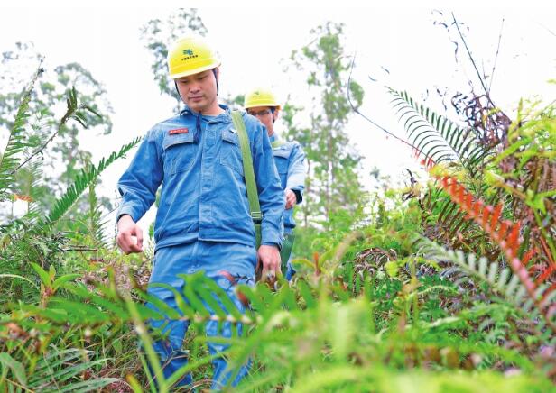 從戎裝到工裝，初心不變——記廣東電網公司江門供電局輸電線路工莫鉅槐